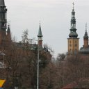 lichen 004